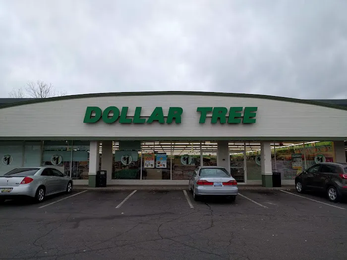 Dollar Tree 0