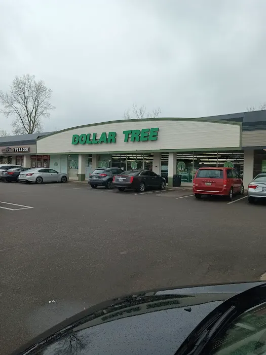 Dollar Tree 5