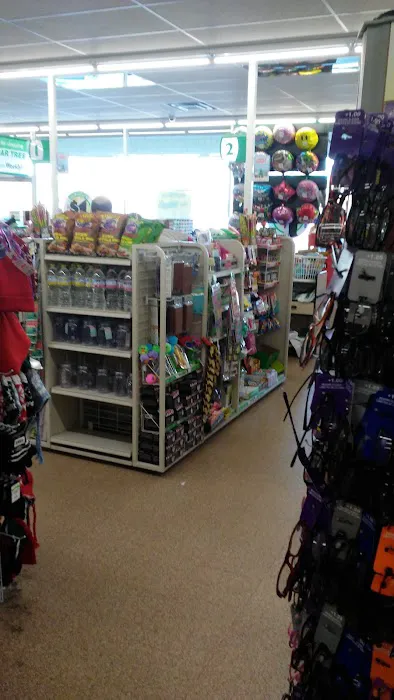 Dollar Tree 3
