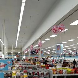 Meijer ico