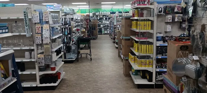 Dollar Tree 6