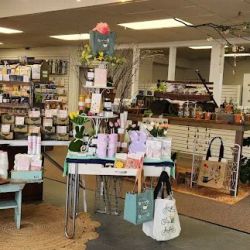 Tandem Studio Floral and Gifts ico