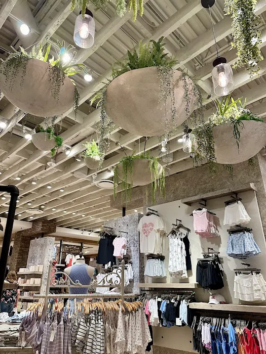 Altar'd State Woodland Mall 4