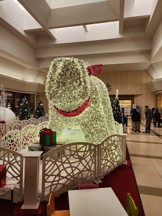 Macy's 7