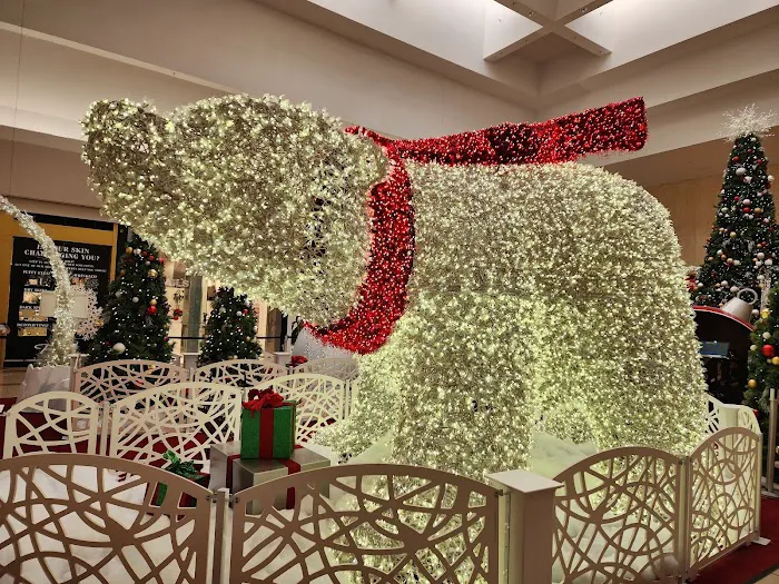Macy's 9