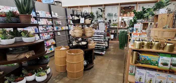 World Market 3