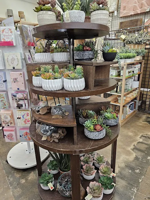 World Market 7