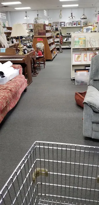 Legacy Thrift 6