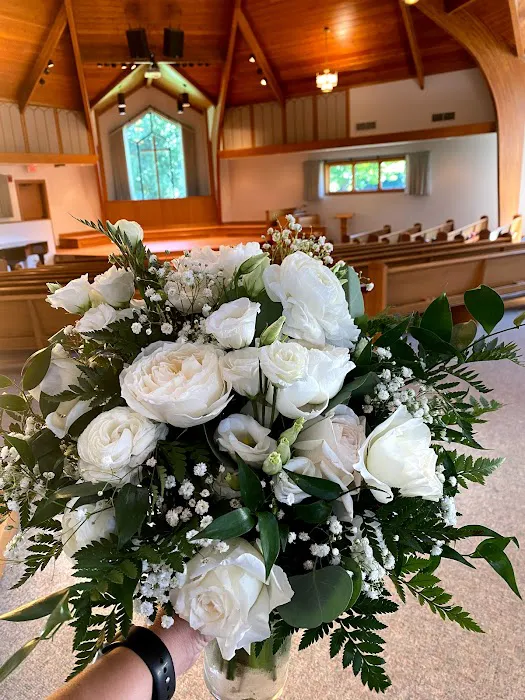 The Petal Company 5