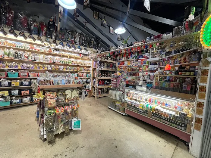 Lesli’s Botanica 2 5