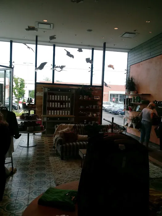Anthropologie 1