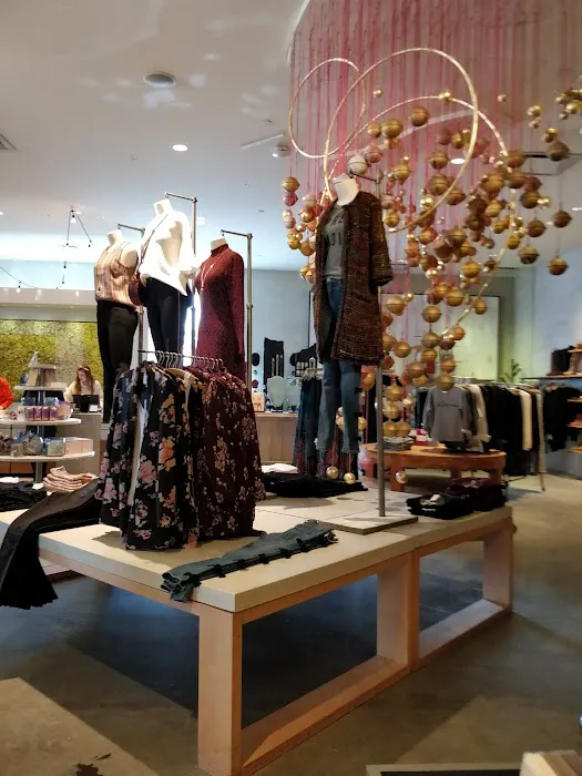 Anthropologie 7