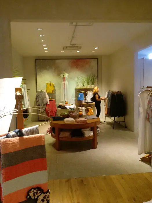 Anthropologie 2
