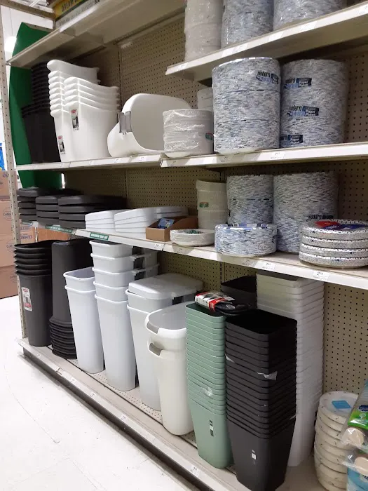 Menards 2