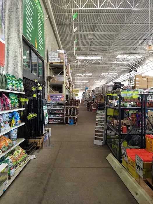 Menards 4
