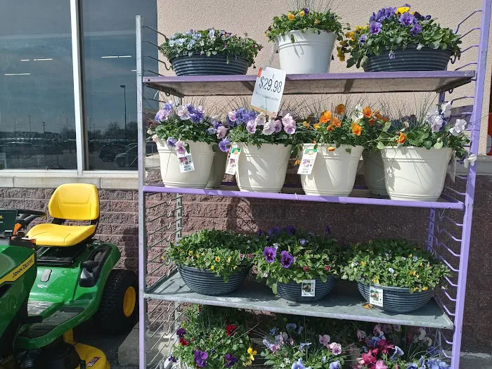The Home Depot 3