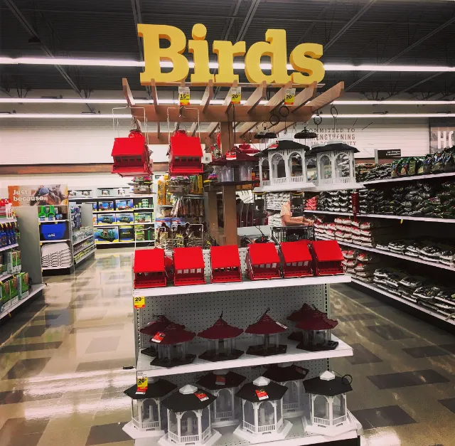 Meijer 4