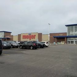 Meijer ico