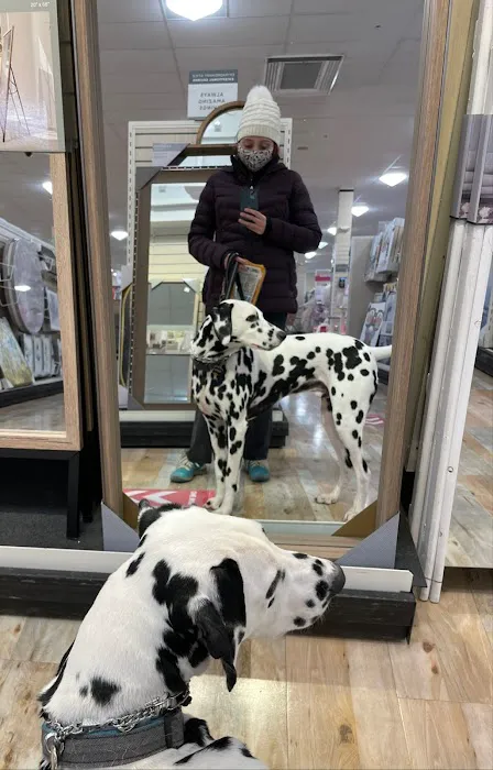 HomeGoods 7