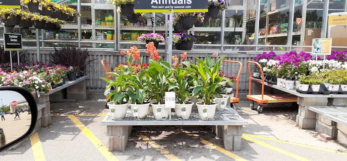 The Home Depot 1