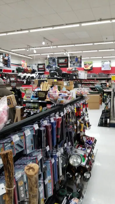 Kingsland Ace Hardware & Rental 9