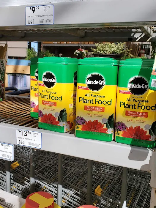Lowe's Garden Center 7