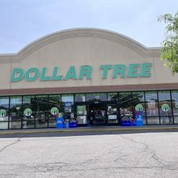 Dollar Tree ico
