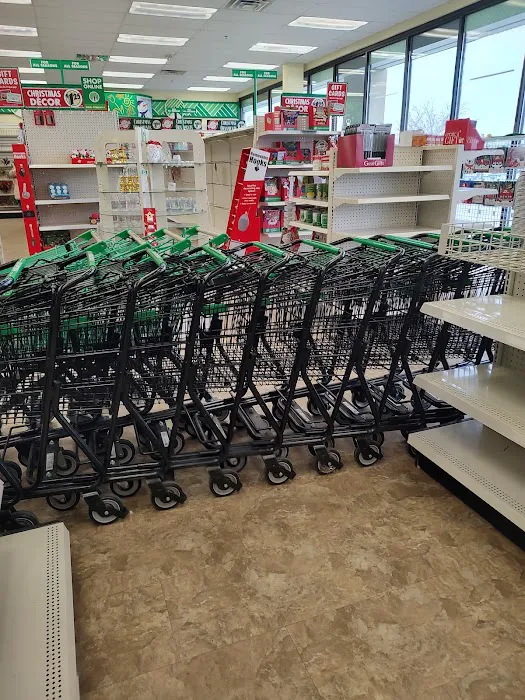 Dollar Tree 3