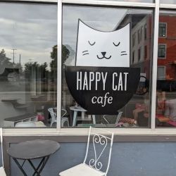 Happy Cat Cafe ico