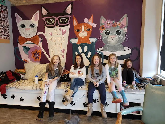 Happy Cat Cafe 4