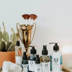 Fox Naturals ico