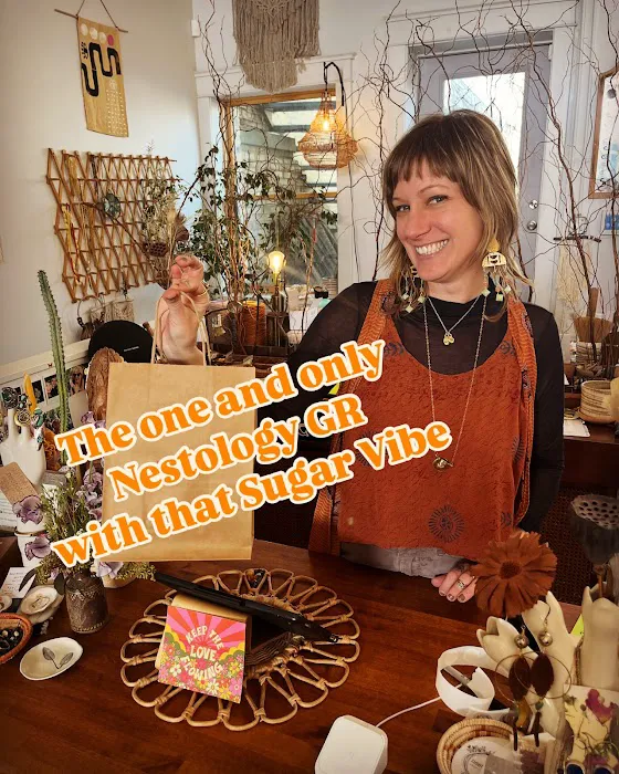 Nestology Shop & Studio 2