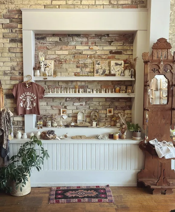 Nestology Shop & Studio 5