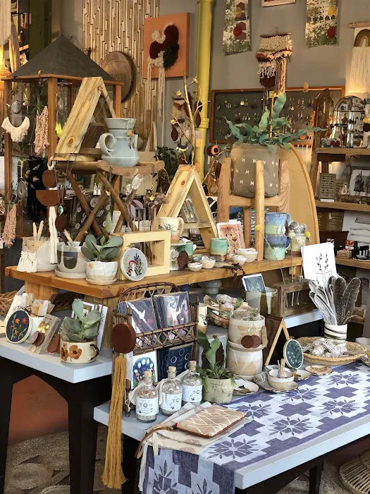 Nestology Shop & Studio 3