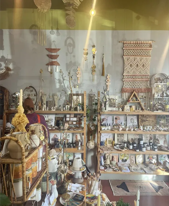 Nestology Shop & Studio 8