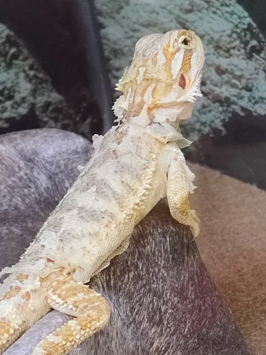 Petco 0