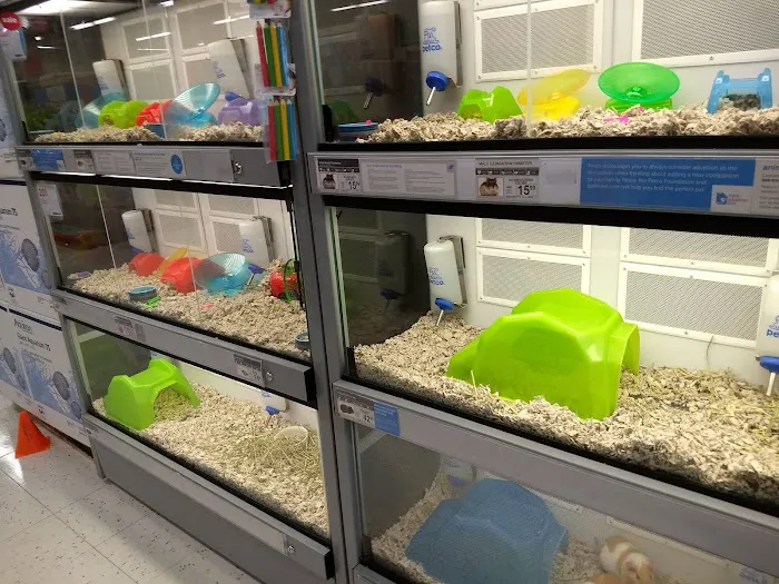Petco 3