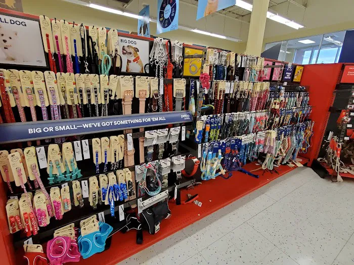 Petco 8