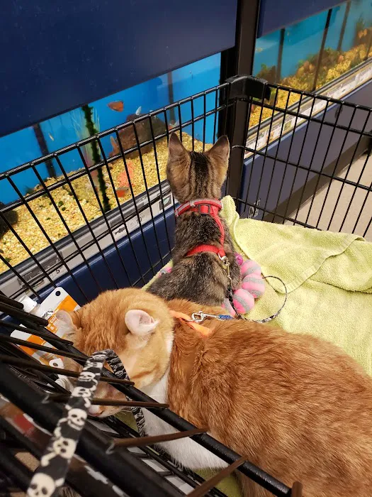 Petco 7