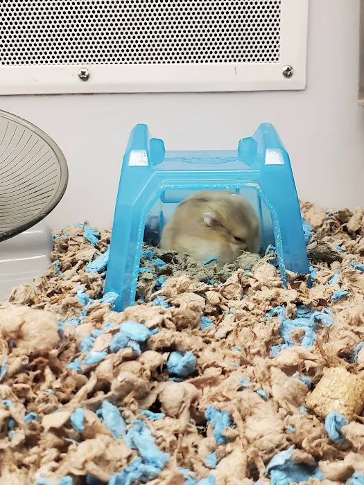 Petco 9