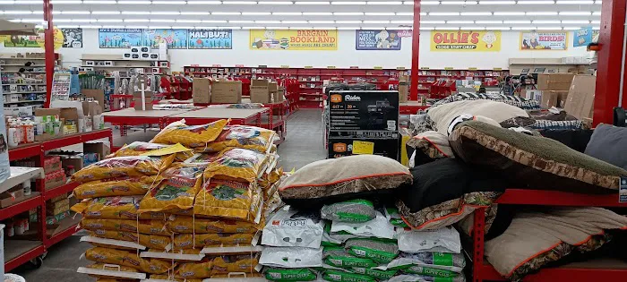 Ollie's Bargain Outlet 1