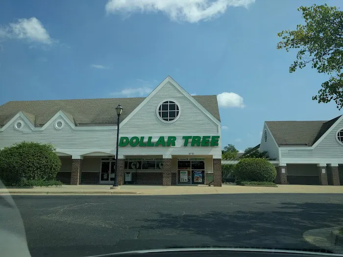 Dollar Tree 7