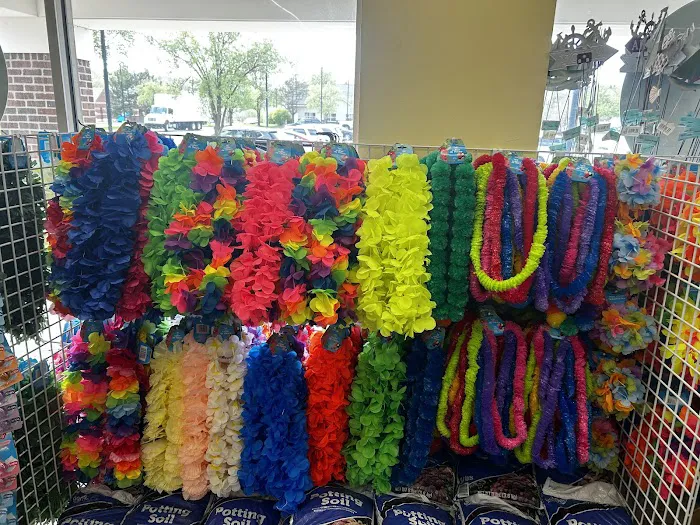 Dollar Tree 1
