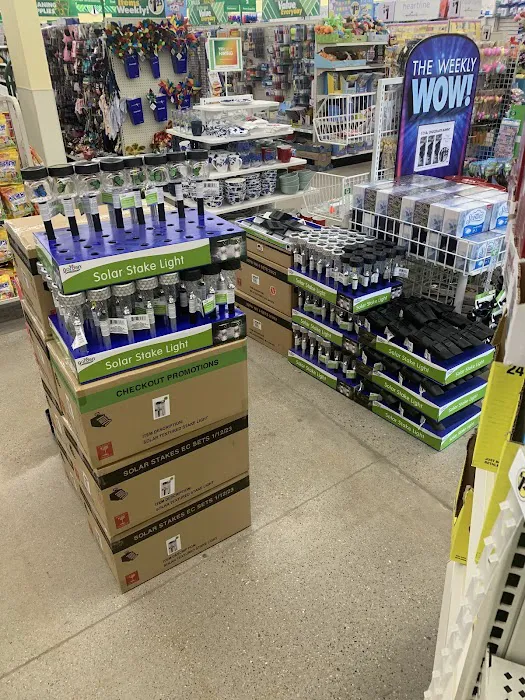 Dollar Tree 6