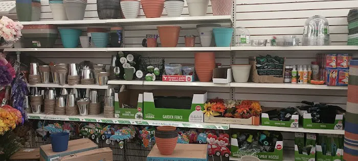 Dollar Tree 5