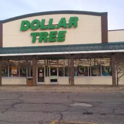 Dollar Tree ico