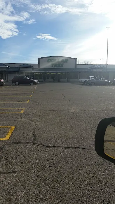Dollar Tree 7