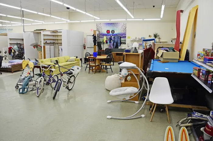 Thrifter's Oasis 8