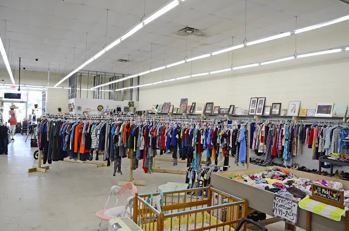 Thrifter's Oasis 2