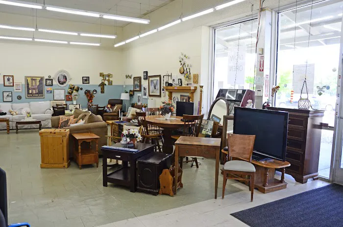 Thrifter's Oasis 3